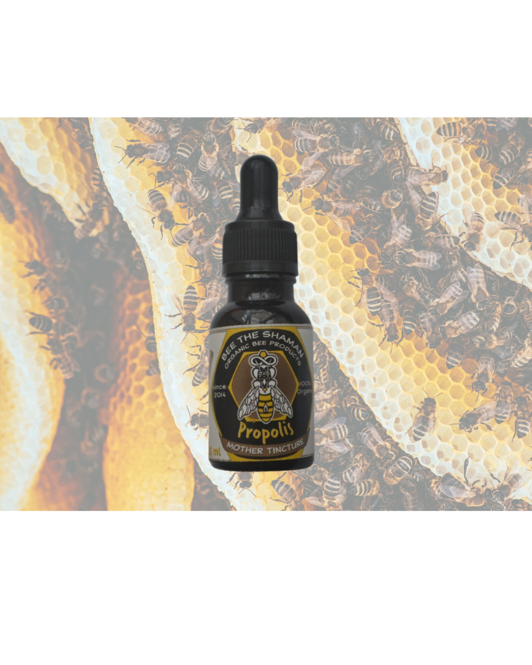 Propolis from the Italian Alps