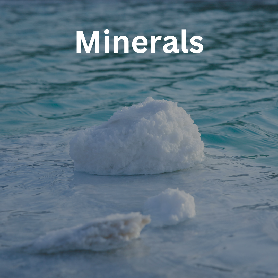 Explore Minerals